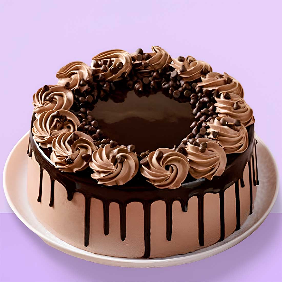 Choco Chip Cake