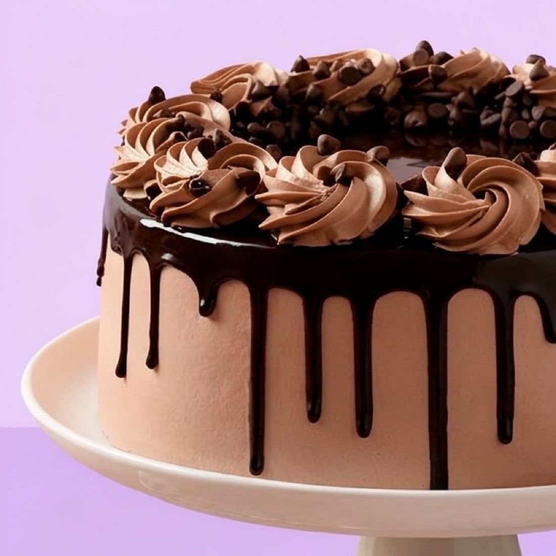 Choco Chip Cake